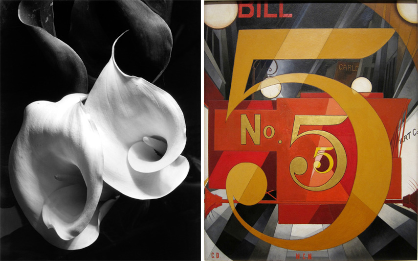 Left Imogen Cunningham - Two Calla Lilies, c. 1925 Right Charles Demuth - I Saw the Figure 5 in Gold, 1928