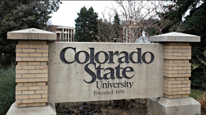 Colorado State University thegrio.com