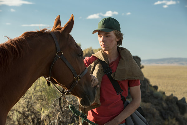 The best of the horse movies is "<a href="https://www.huffingtonpost.com/entry/3-movies-to-see-in-april-lean-on-pete-where-is