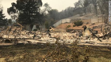 A cat named Jinx takes refuge in a green bush on a hillside behind a burning home. 