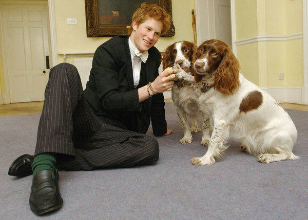 Prince Harry plays with Rosie and Jenny, two dogs owned by Andrew Gailey, the housemaster of the Manor House, in March 2003.