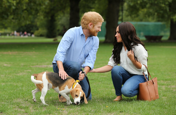 The fake Duke and Duchess of Sussex walk through London's Battersea Park. The REAL royals have reportedly adopted a dog toget