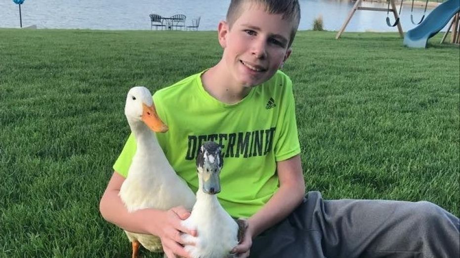 While the three-hour meeting was dismissed on Wednesday without an official vote, members said regulations on keeping and maintaining Dylan's ducks, named "Nibbles" and "Bill," would be part of the resolution.