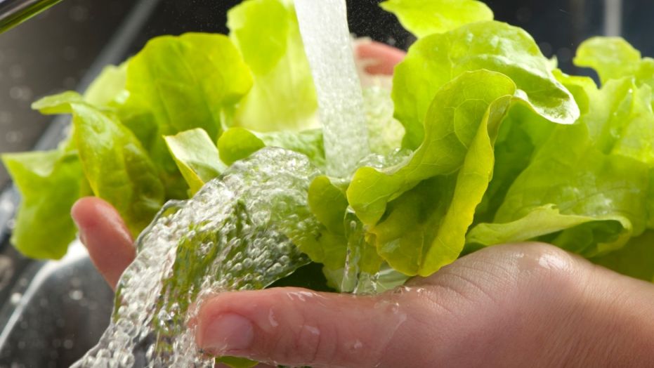 Food experts recommend washing fruits and vegetables in order to lessen the risk of contracting a foodborne illness.