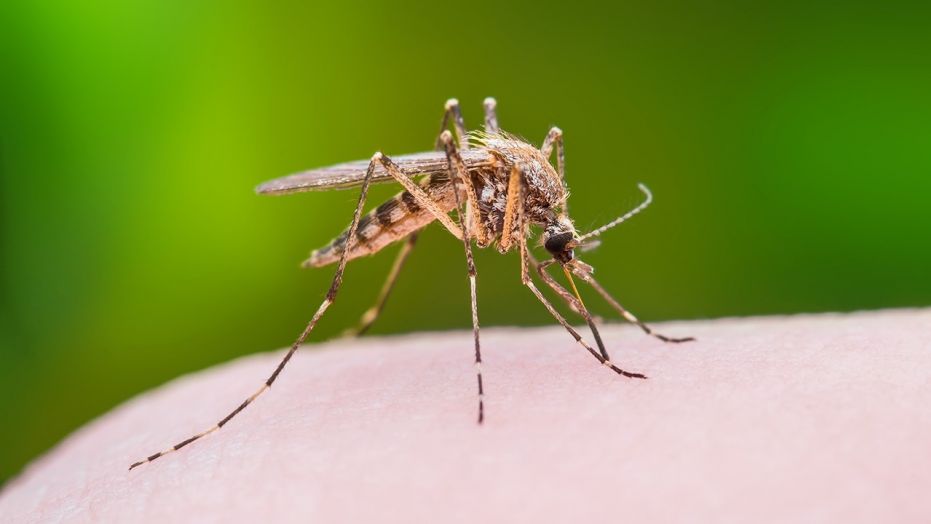 Alabama health officials are investigating "several" reported Zika, West Nile cases in the state.