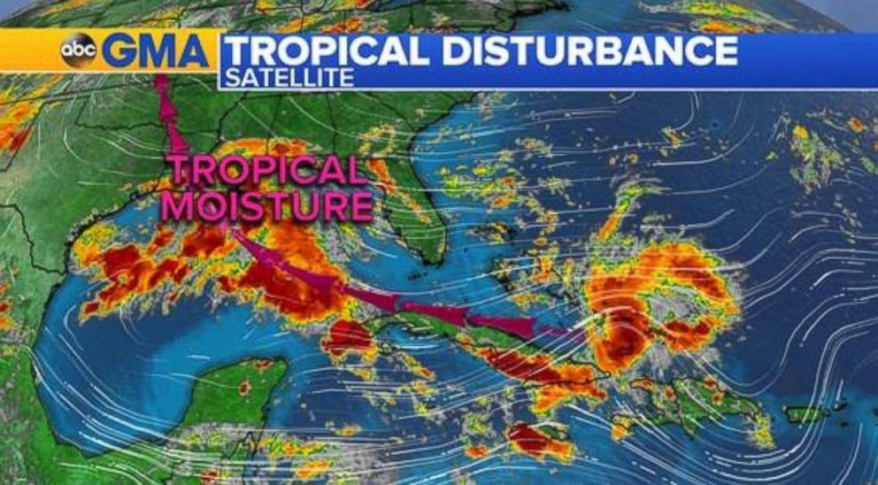 Tropical moisture will bring rain to Florida and the Gulf Coast for the next few days.