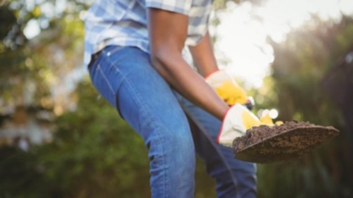 BlackWhile Gardening thegrio.com