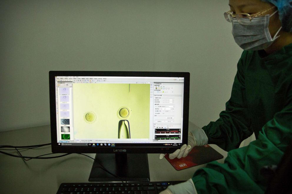 PHOTO: In this Oct. 9, 2018 photo, Zhou Xiaoqin adjusts a monitor showing a video feed of a fine glass pipette containing Cas9 protein and PCSK9 sgRNA to an embryo under a microscope at a laboratory in Shenzhen in southern Chinas Guangdong province.