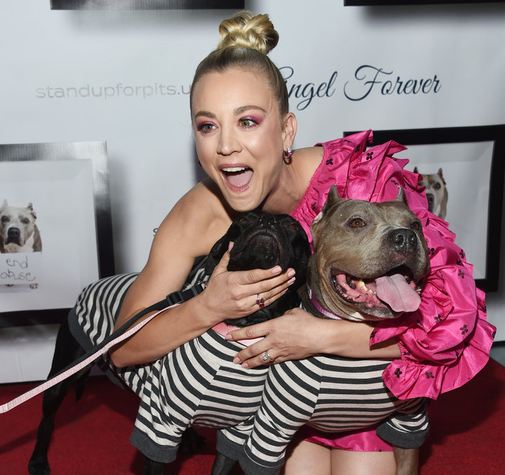 Kaley Cuoco, pictured at the&nbsp;8th Annual Stand Up For Pits event at the Hollywood Improv Comedy Club, is known for suppor