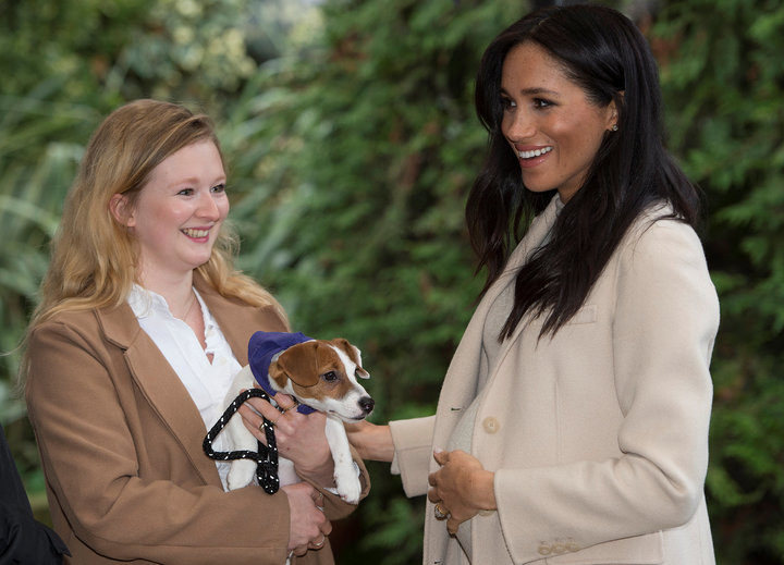 The Duchess&nbsp;of Sussex hanging around with the cute pups at Mayhew in London.