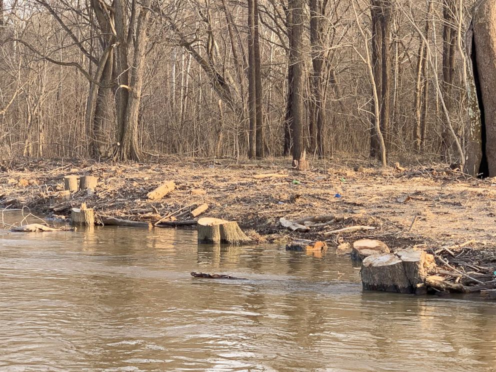 PHOTO: Photos provided by Potomac Riverkeeper Network show trees cleared from a riverbank near Trump National Golf Course in Virginia.