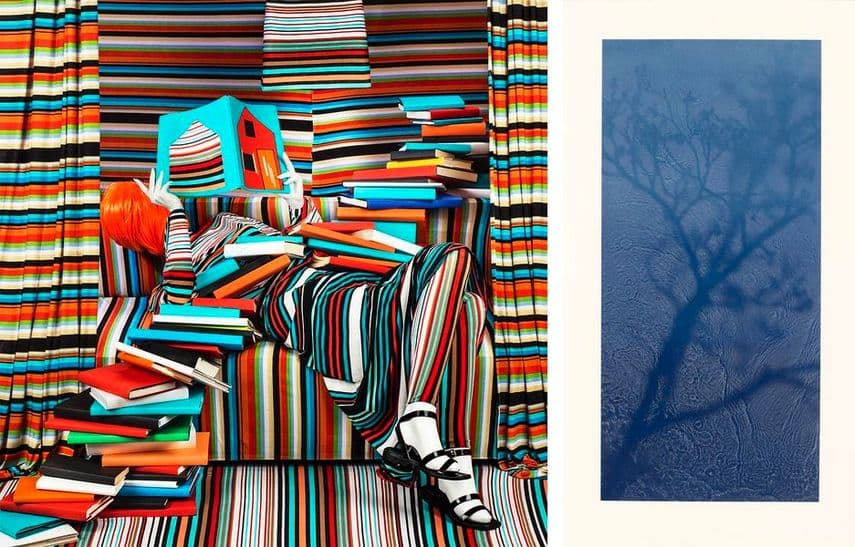 Patty Carrol - Striped Books: engrossed in her reading, the books coloured her life, 2018, Susan Derges - Willow, 2018
