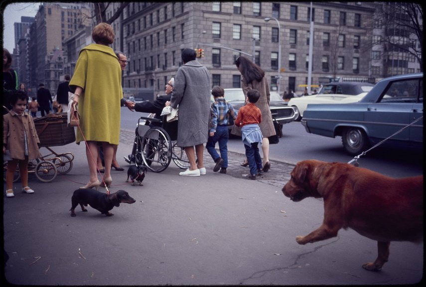 Garry Winogrand - Untitled New York