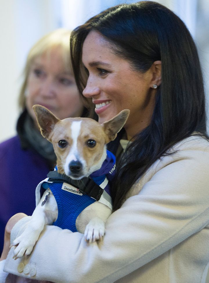 Meghan, Duchess of Sussex meets a Jack Russell dog named "Minnie" during her visit to the animal welfare charity Mayhew in Lo