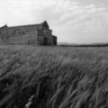 Guido Guidi, Sardegna, 1974, silver print.