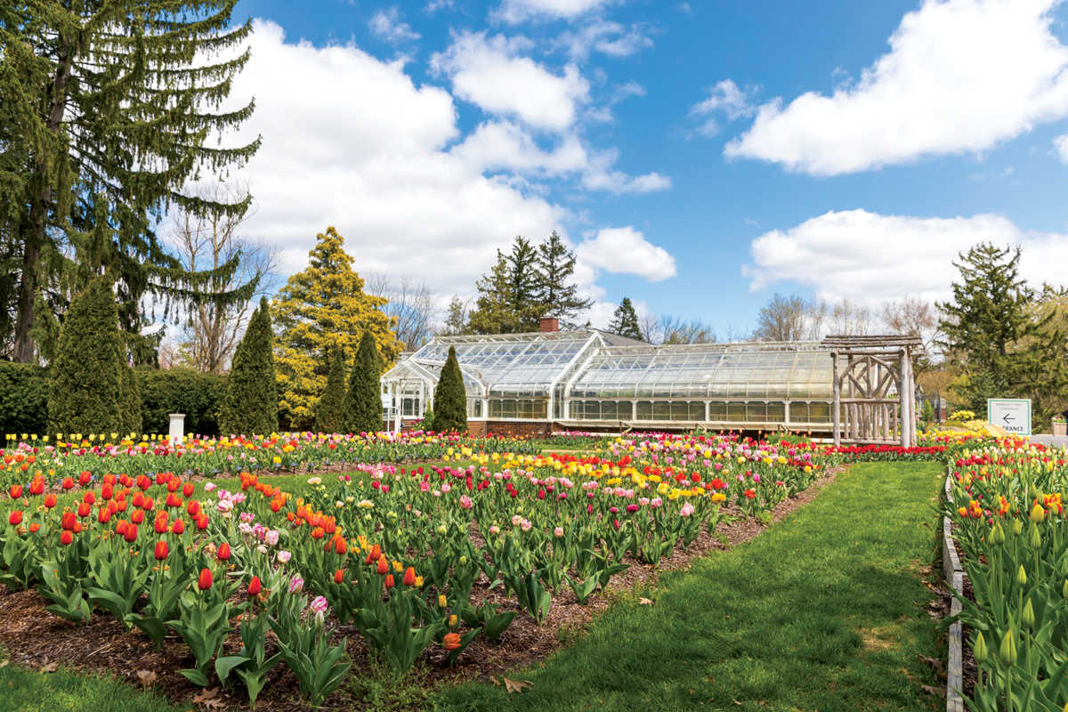 Spring blooms on the grounds of Newfields. 