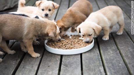 Bad news for General Mills: People splurge on pet food but not snacks for themselves