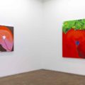 Installation view of "Show Me Yours," 2019, at Monique Meloche Gallery, Chicago