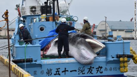 A captured minke whale is unloaded from a ship in Kushiro, Japan, on Monday.