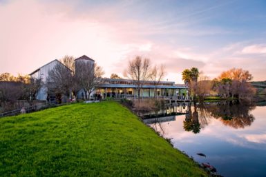 The di Rose Center for Contemporary Art in Napa, California. 