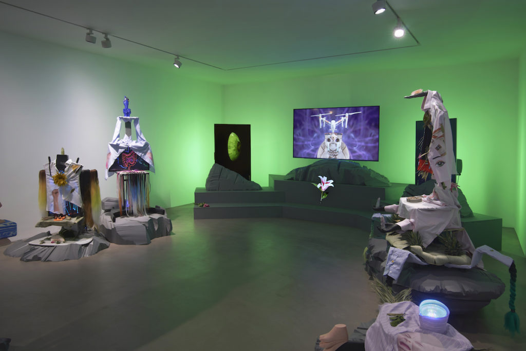 Installation view of "Patricia Domínguez: Green Irises," 2019, at Gasworks, London