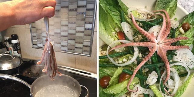 Jamie Bisceglia said she cooked the octopus that bit her for dinner. “I got a little revenge,” she told Fox News. 