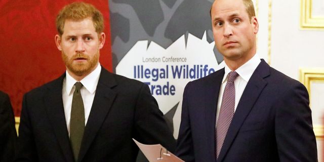 Prince Harry and Prince William are reportedly said to be feuding ever since Prince Harry's whirlwind romance with now-wife Meghan Markle began.