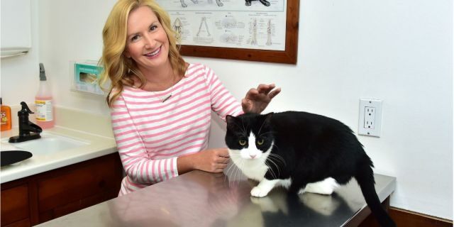 Angela Kinsey teamed up with Royal Canin, a leader in pet nutrition, for National You’re your Cat to the Vet Day. 