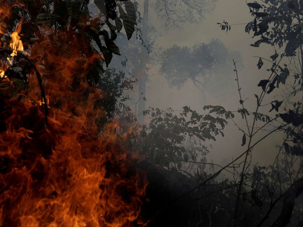 PHOTO: A fire burns a tract of Amazon jungle as it is cleared by loggers and farmers near Porto Velho, Brazil, August 27, 2019.
