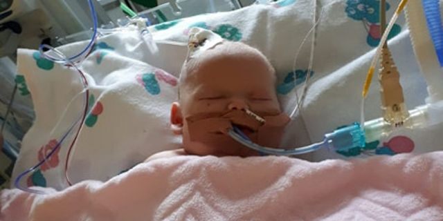 Kiara died at just 14 days old after contracting the herpes complex virus and sepsis.