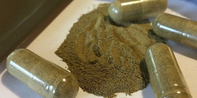 Sold in various capsules and powders, kratom has gained popularity in the U.S. as an alternative treatment for pain, anxiety and drug dependence.