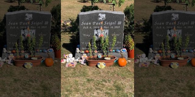 Sean's grave.