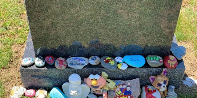 Some of the rocks currently at Sean's grave.