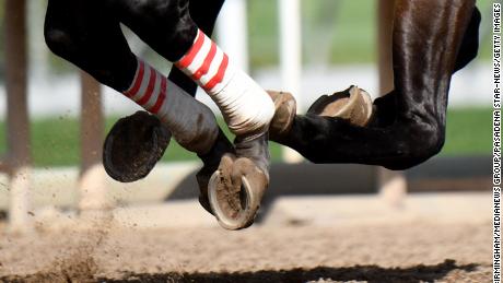 Santa Anita track owners and trainers under investigation after horse deaths