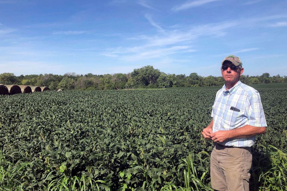 PHOTO: Farmer Randy Miller is shown with his soybeans, Thursday, Aug. 22, 2019, at his farm in Lacona, Iowa.