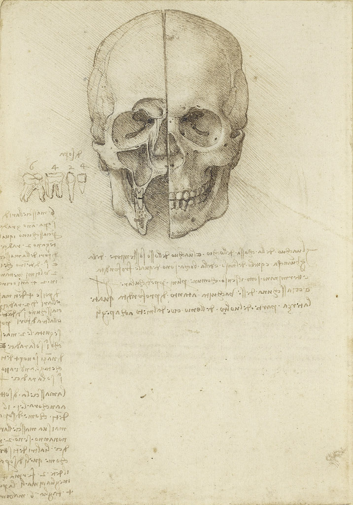 Leonardo da Vinci, 'The skull sectioned,' 1489, traces of black chalk, pen, and ink