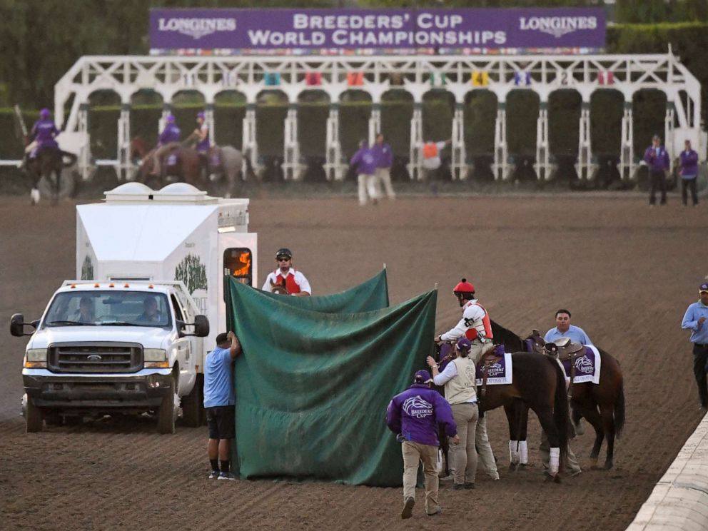 PHOTO: Track workers treat Mongolian Groom after the Breeders Cup Classic horse race at Santa Anita Park, Saturday, Nov. 2, 2019, in Arcadia, Calif. The jockey eased him up near the eighth pole in the stretch. 