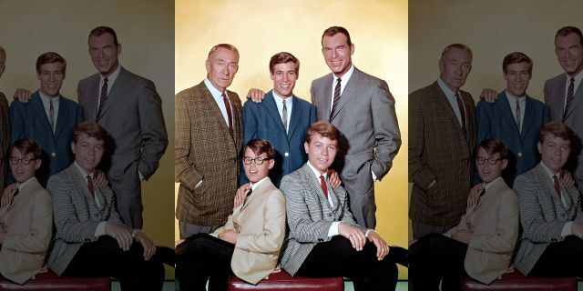 Fred MacMurray (right) stars as widowed aeronautical engineer Steve Douglas, raising his three sons with the help of William Demarest (left) as Uncle Charley., Don Grady (as Robbie Douglas-top center), Barry Livingstone (as Ernie Thompson Douglas -bottom left) and Stanley Livingstone (as Chip Douglas).