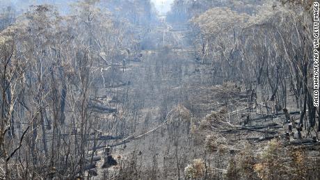 A view of the landscape after a bushfire on Mount Weison, 74 miles (120 km) northwest of Sydney.