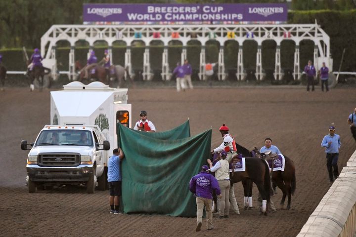 This Nov. 2, 2019, file photo shows track workers treating Mongolian Groom after the Breeders' Cup Classic horse race at Sant