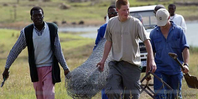 Prince Harry and a group of workmen carry fencing that they will put up at the Mants'ase Children's Home in Mohale's Hoek in March of 2004. Prince Harry, spent his third week during a private visit to Africa building fences and planting trees at a rural orphanage in the small mountain kingdom of Lesotho.