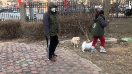 Members of Vshine, one of HSI&#39;s partner groups in China, walk two pet dogs that were left behind during the Wuhan coronavirus outbreak.