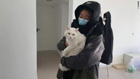 A member of Vshine, one of HSI&#39;s partner groups in China, tends to a pet cat that was left behind during the Wuhan coronavirus outbreak.