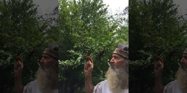 Phil Robertson is sharing his wisdom in a 32-episode special titled 'In the Woods with Phil.'