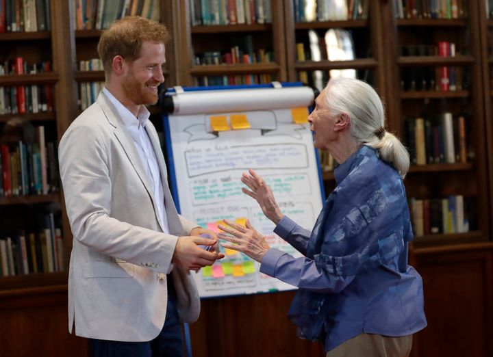 The Duke of Sussex and Dr. Jane Goodall hug as he attends Dr. Jane Goodall's Roots &amp; Shoots Global Leadership Meeting at 
