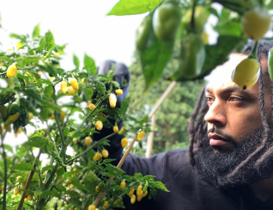 This Seattle-based Urban Farm Is Learning How To Adapt During The COVID-19 Pandemic