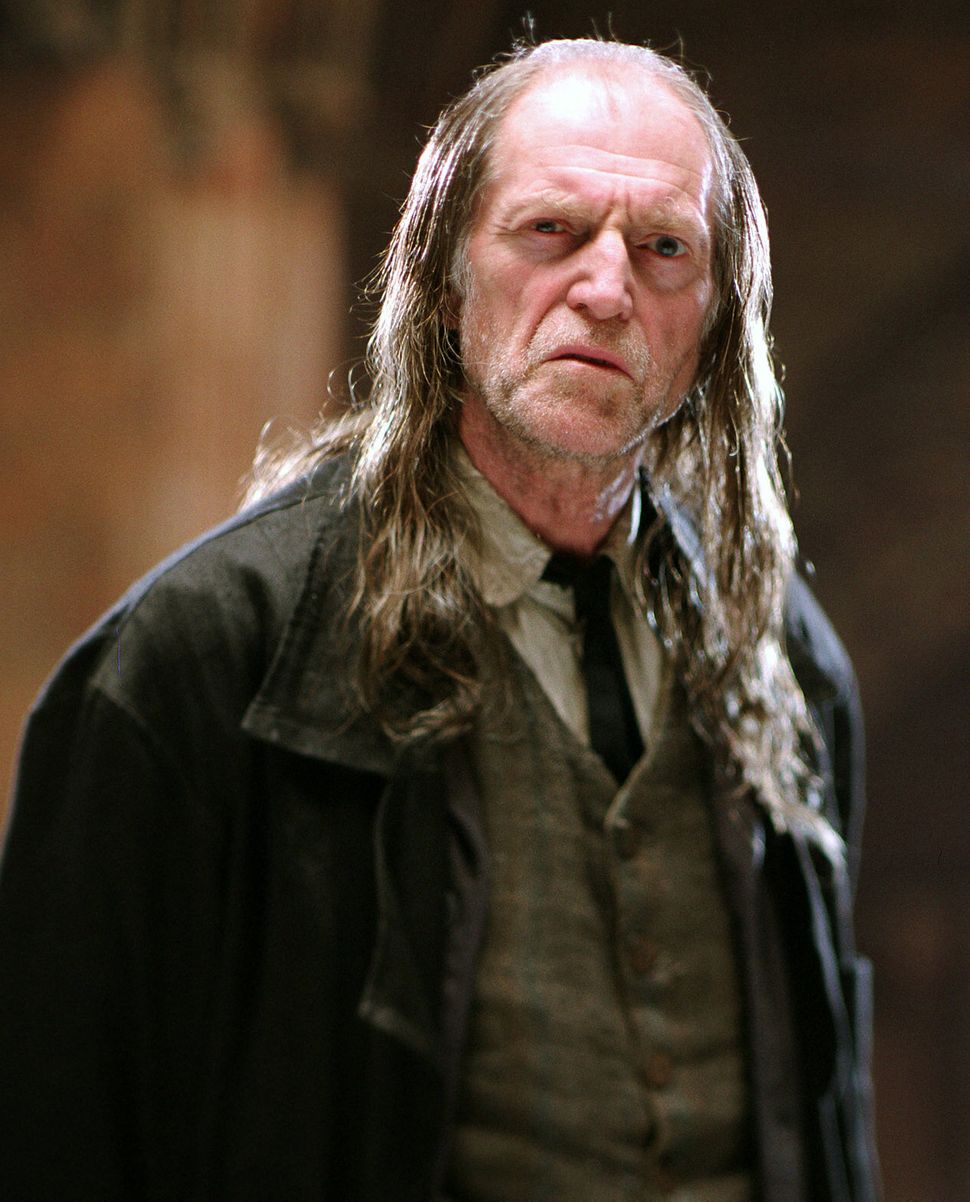 David as Argus Filch in the Harry Potter series