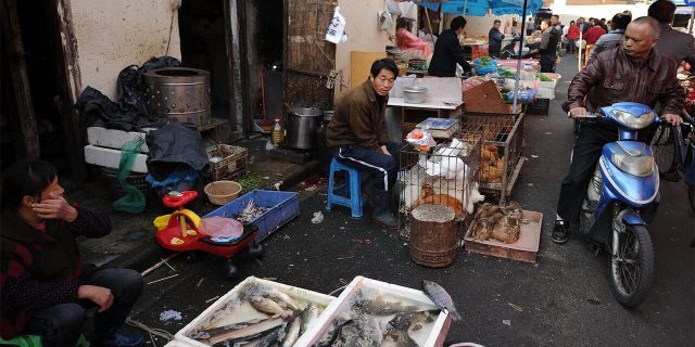 Vendors sell fish and poultry at an outdoor wet market in Shanghai, Nov. 15, 2012. (Getty Images)