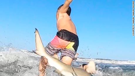 Shark knocks 7-year-old Florida boy off his surfboard