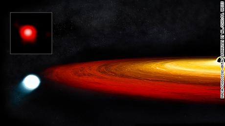 This star survived a close call with a black hole. Eventually, it will become a planet